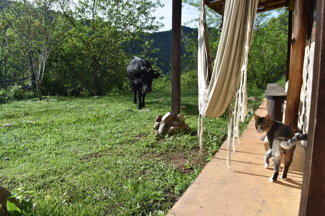 Aldea Luna - Three Weeks Country Living