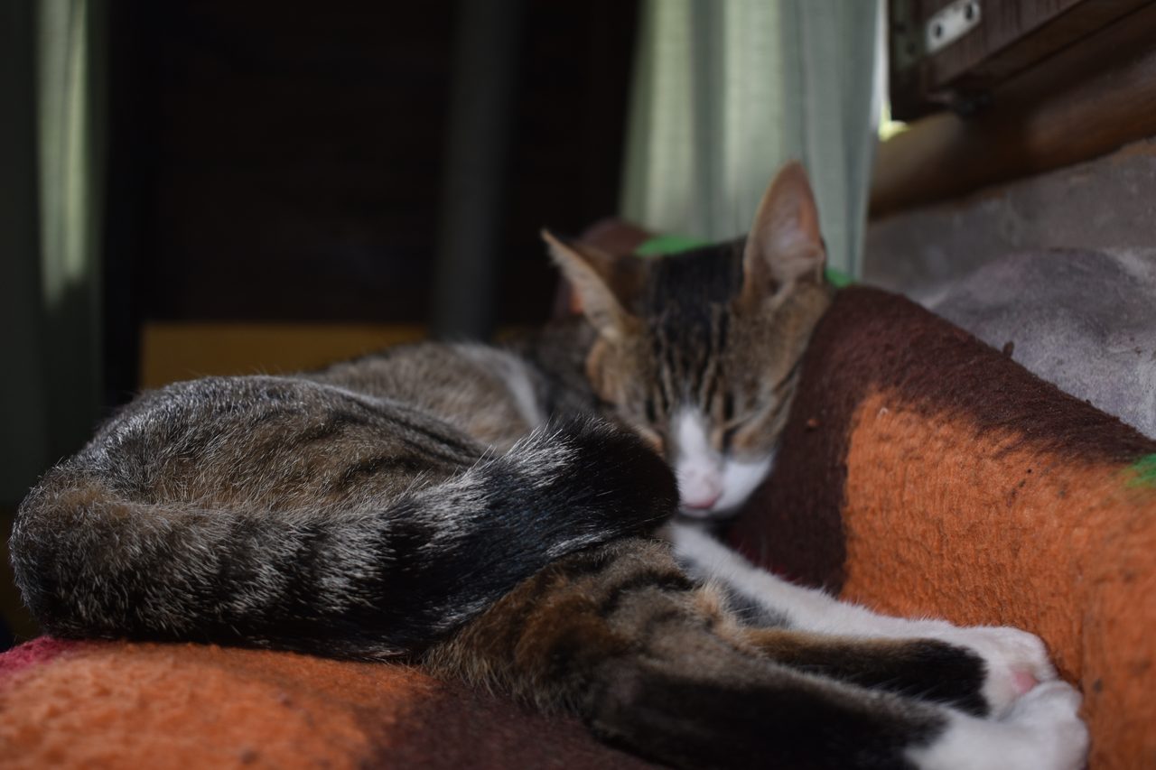 Aldea Luna - Three Weeks Country Living