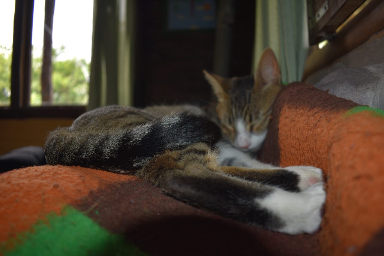 Aldea Luna - Three Weeks Country Living