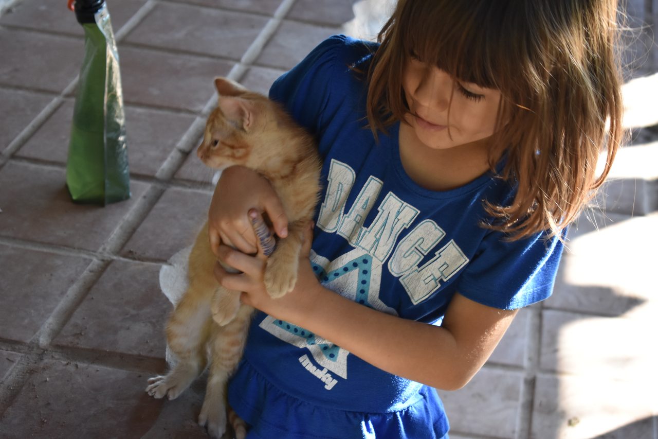 Aldea Luna - Three Weeks Country Living