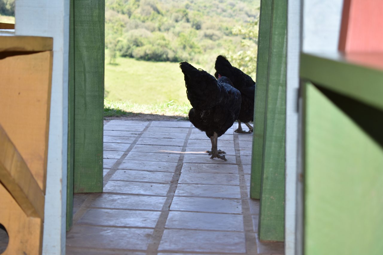 Aldea Luna - Three Weeks Country Living