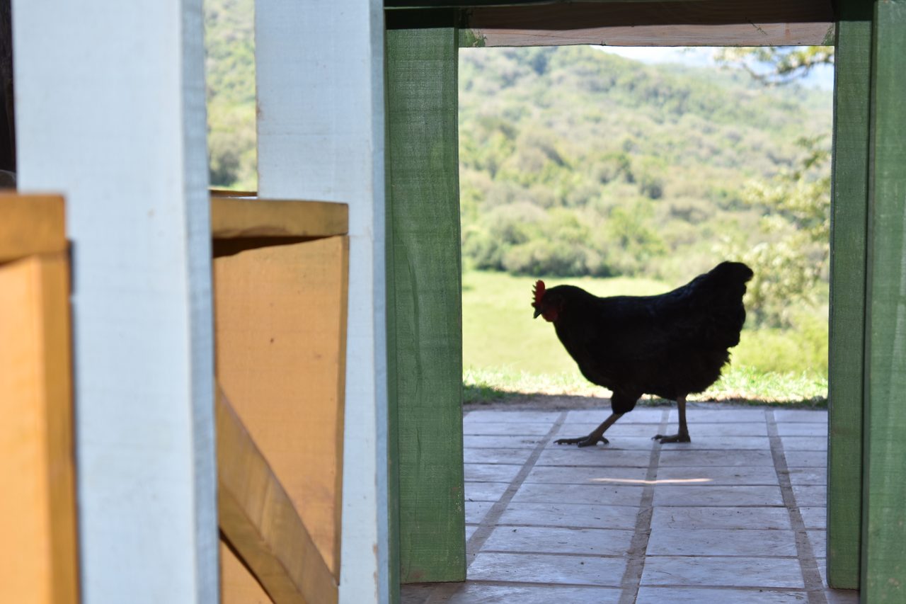 Aldea Luna - Three Weeks Country Living