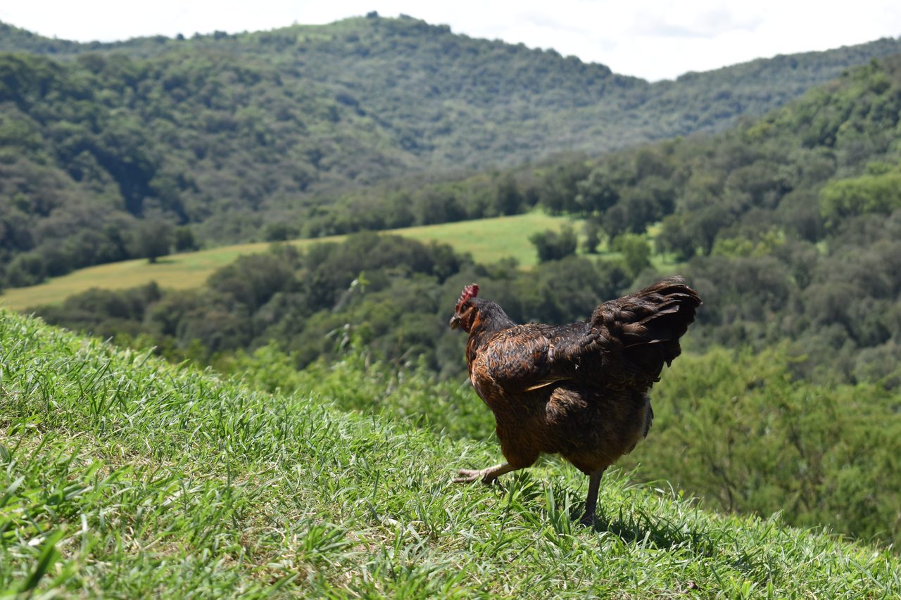 Aldea Luna - Three Weeks Country Living