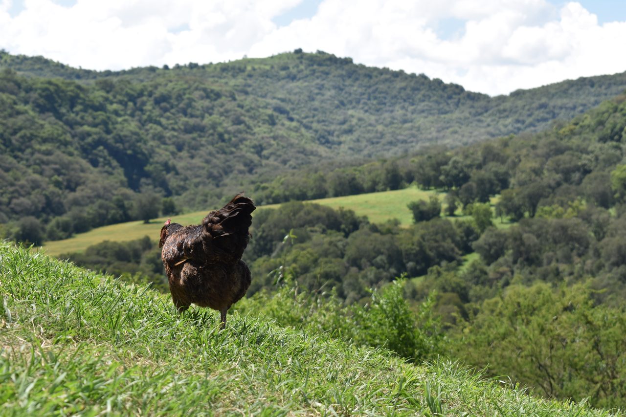 Aldea Luna - Three Weeks Country Living