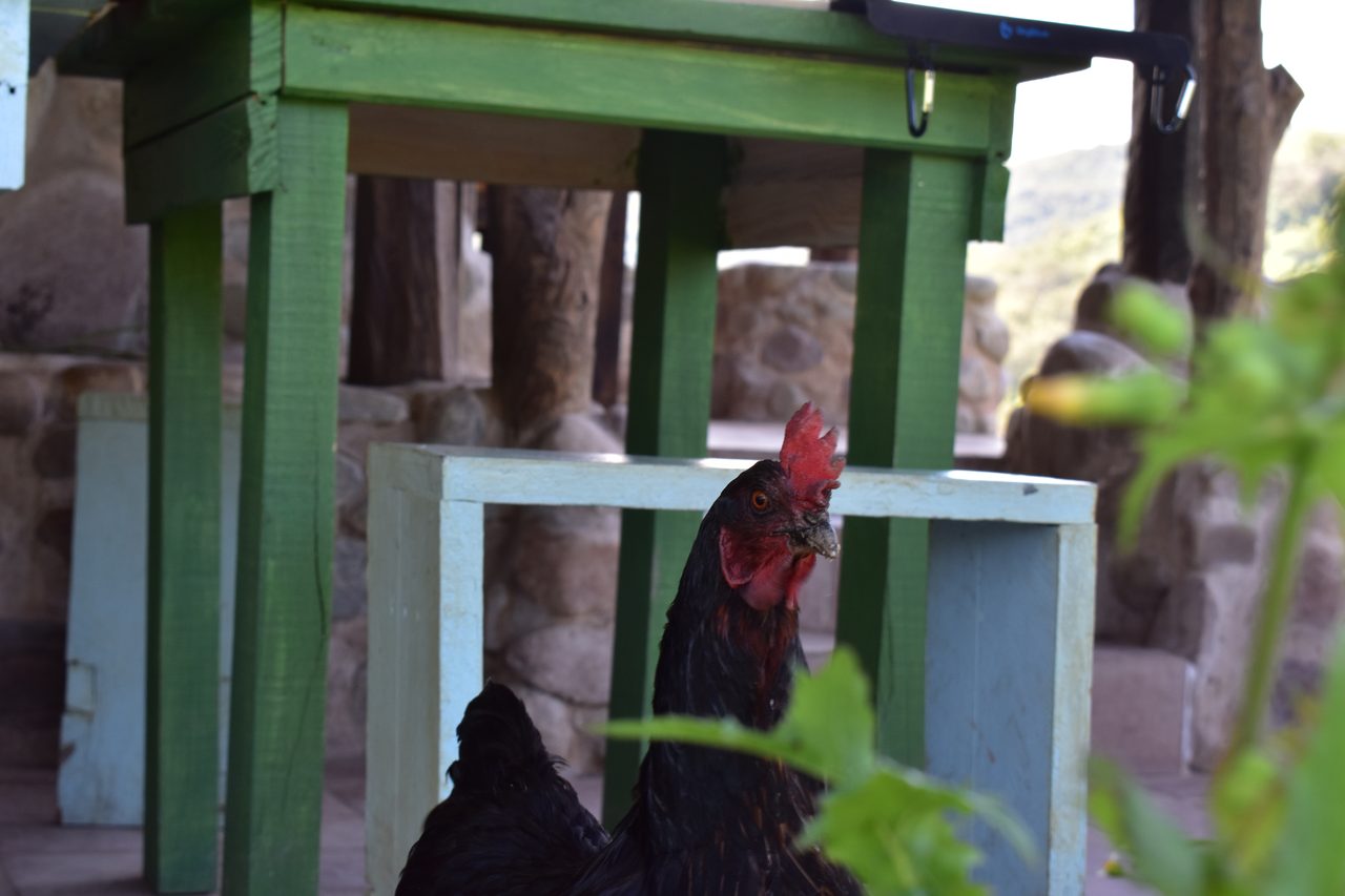 Aldea Luna - Three Weeks Country Living