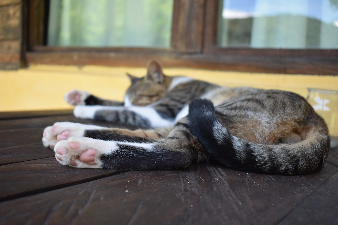 Aldea Luna - Three Weeks Country Living