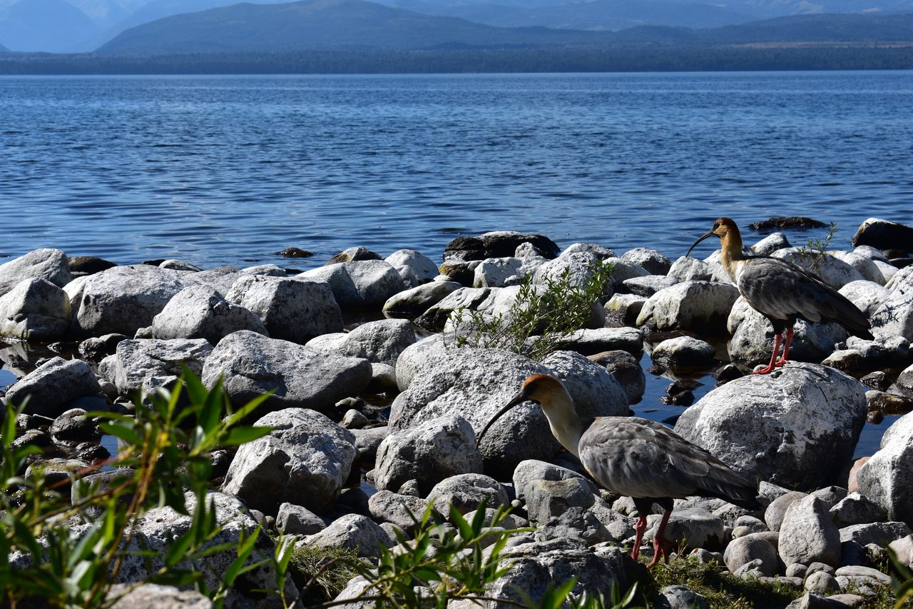 Bariloche – Refugio Frey and Refugio López treks
