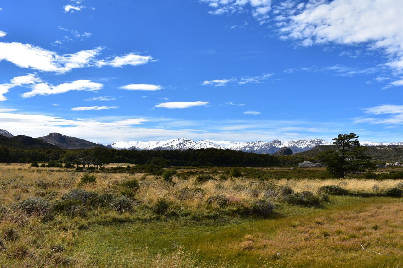 El Chaltén – Fitz Roy, Cerro Torre and Loma del Pliegue Tumbado