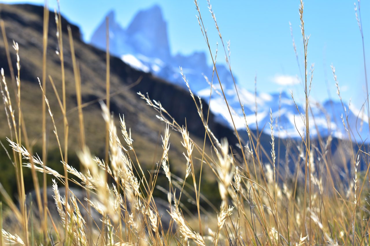 El Chaltén – Fitz Roy, Cerro Torre and Loma del Pliegue Tumbado