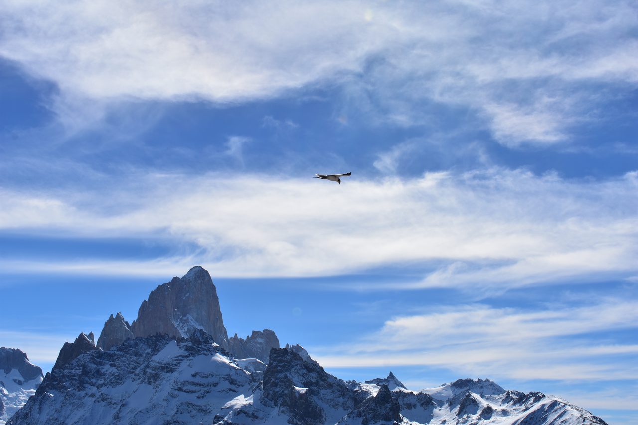 El Chaltén – Fitz Roy, Cerro Torre and Loma del Pliegue Tumbado
