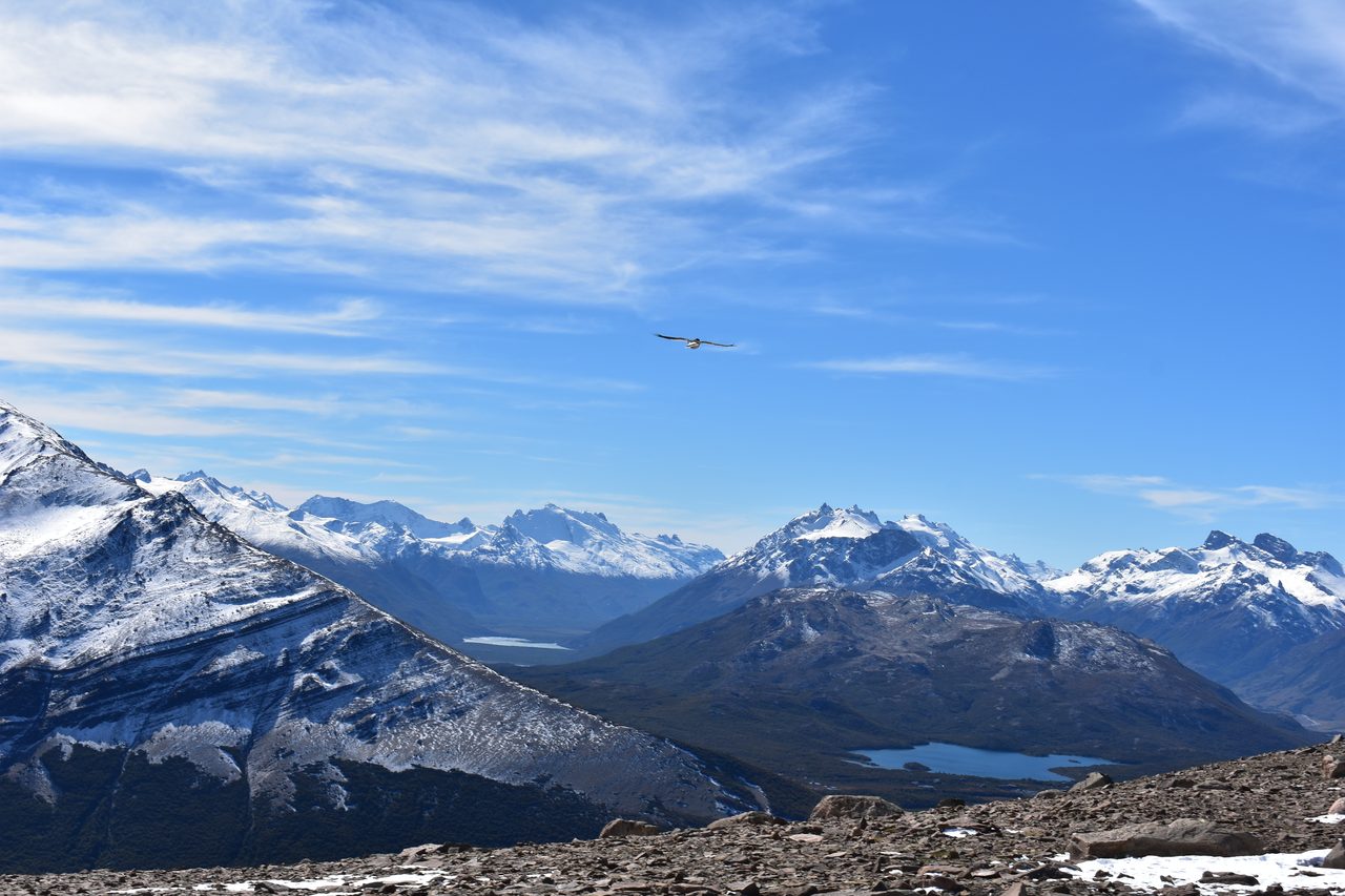 El Chaltén – Fitz Roy, Cerro Torre and Loma del Pliegue Tumbado