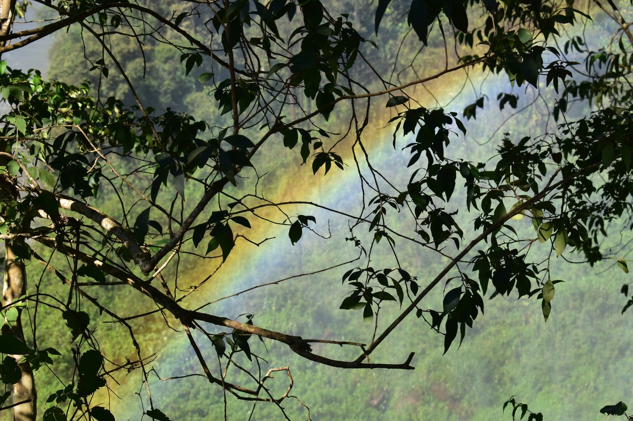 Iguazú Falls (Iguaçu)
