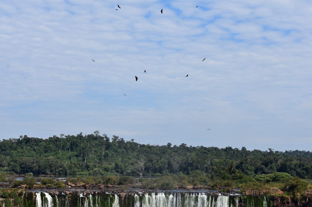 Iguazú Falls (Iguaçu)