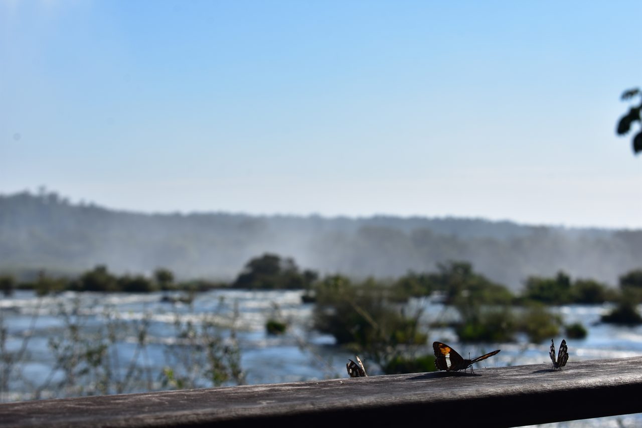 Iguazú Falls (Iguaçu)