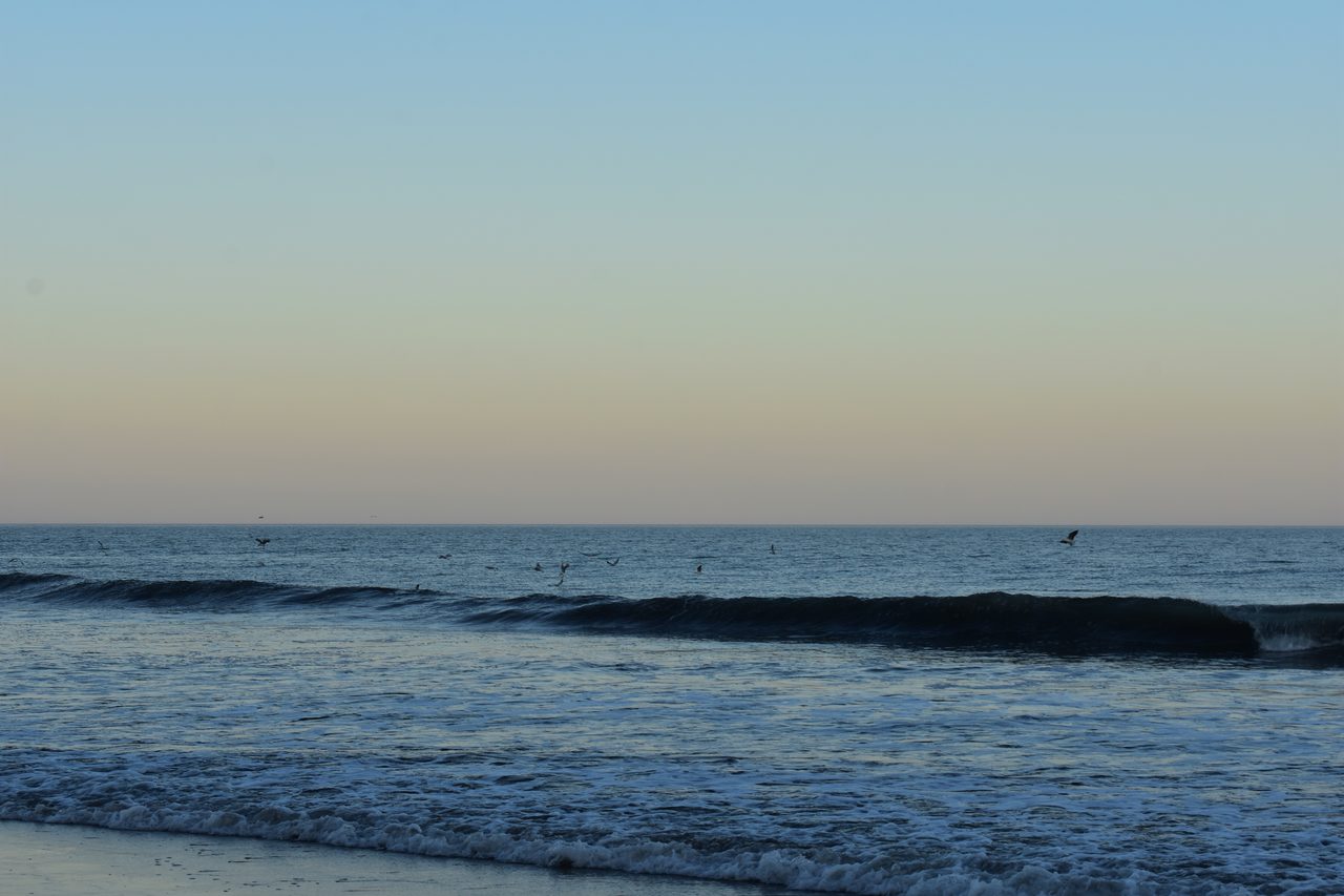 Mar del Plata