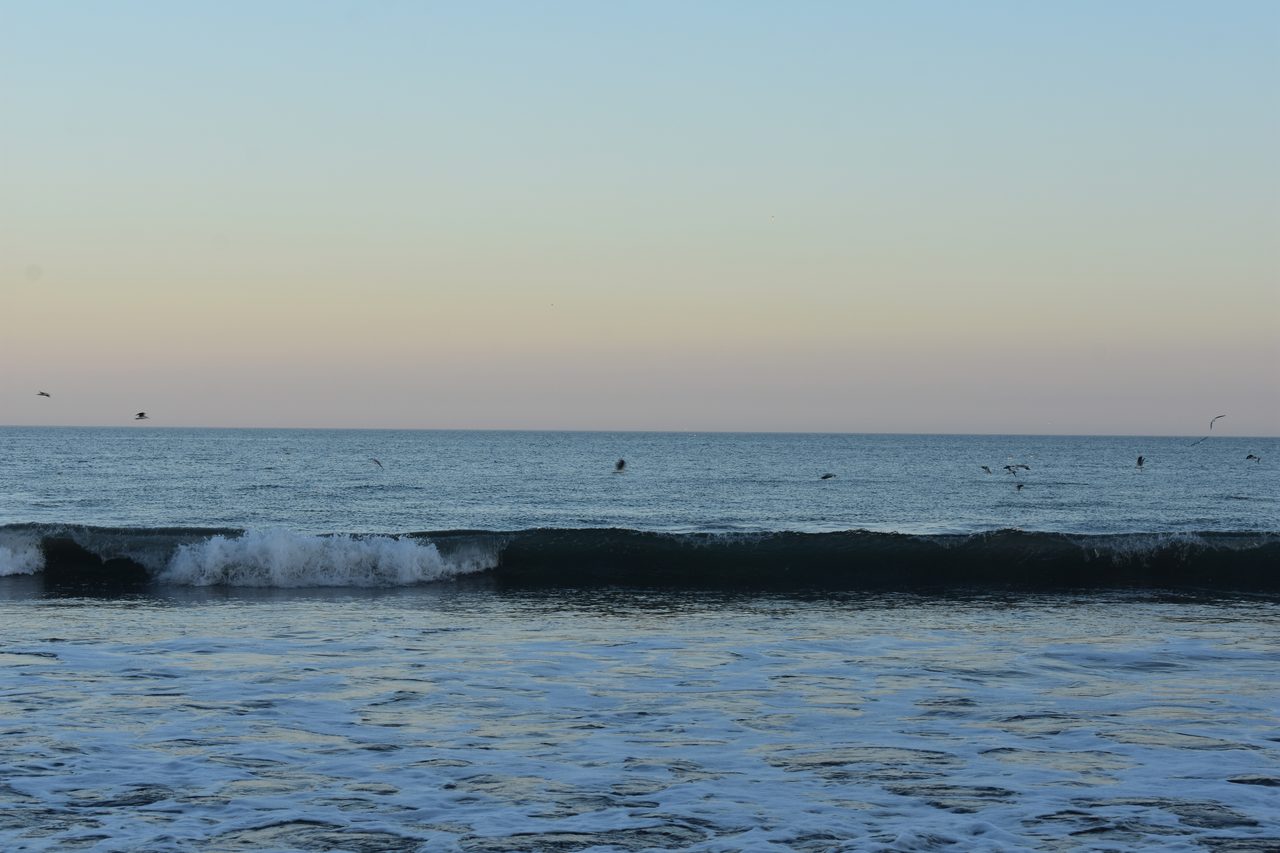 Mar del Plata
