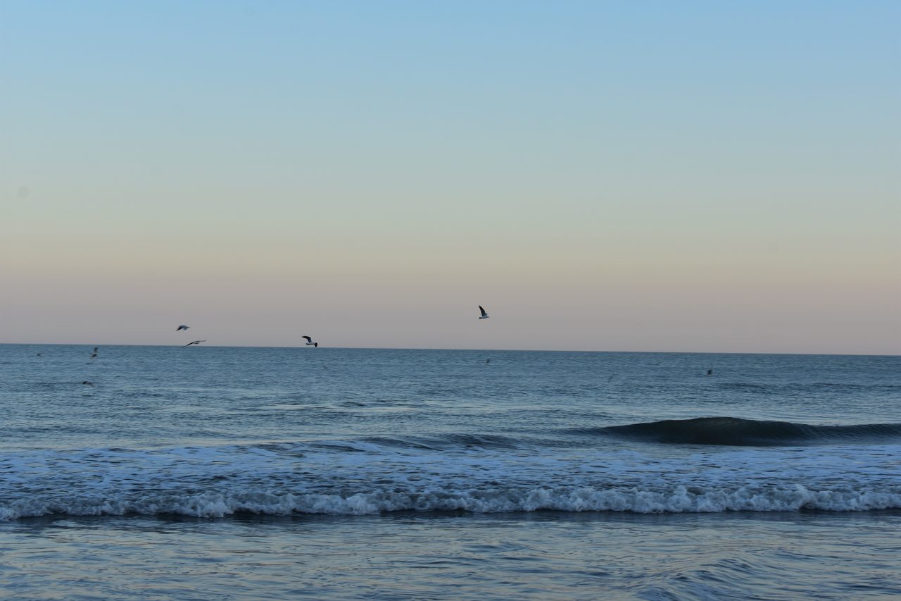 Mar del Plata