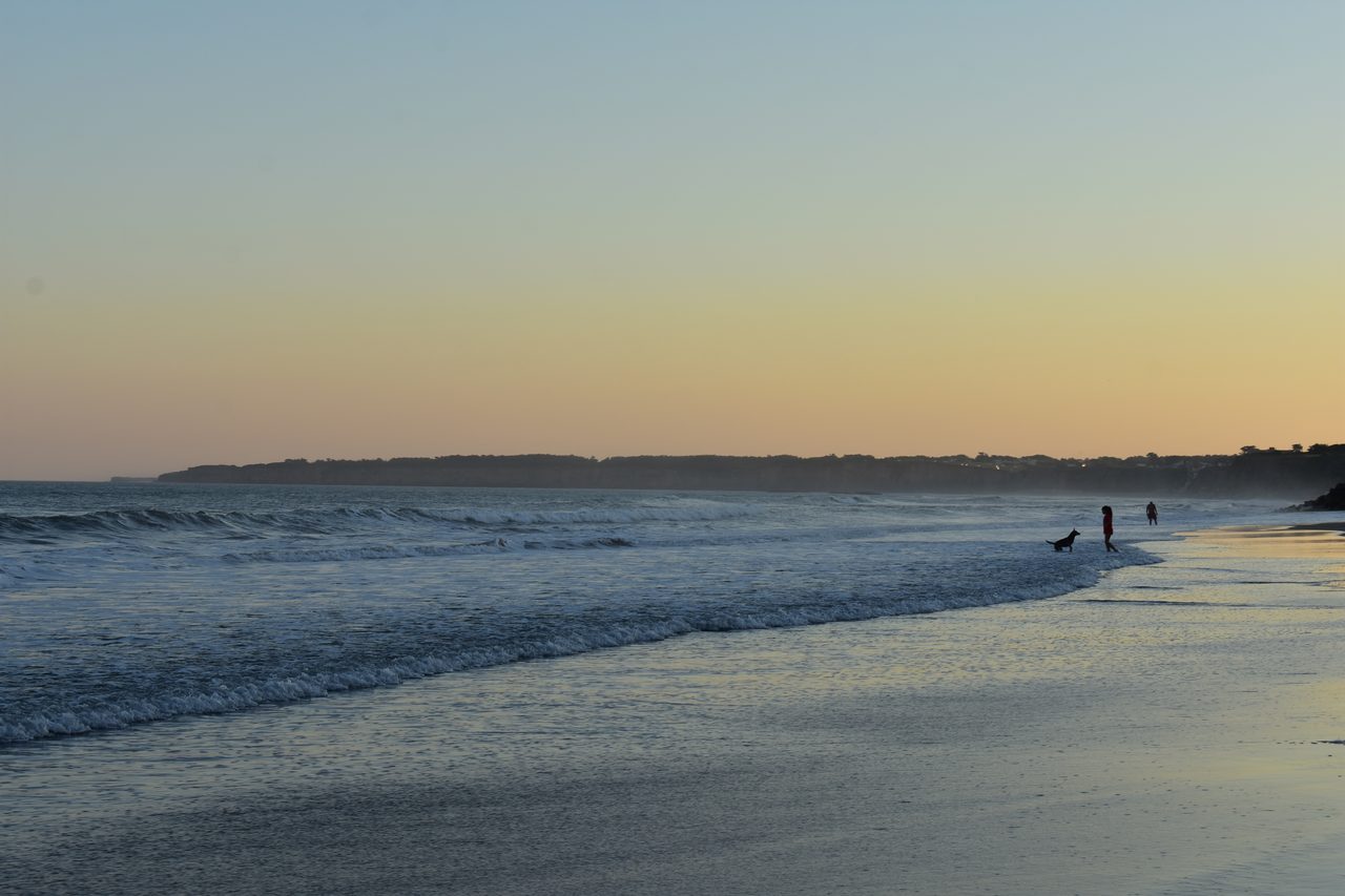 Mar del Plata