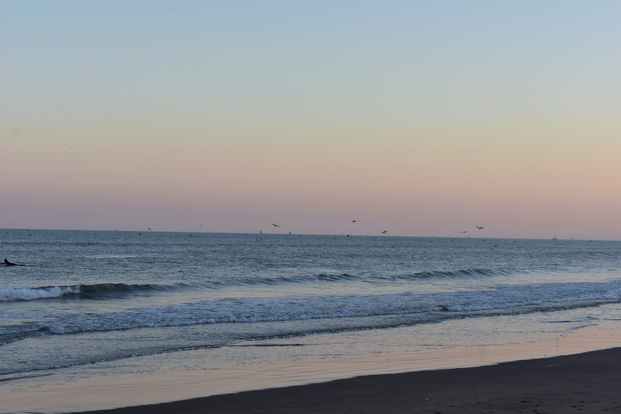 Mar del Plata