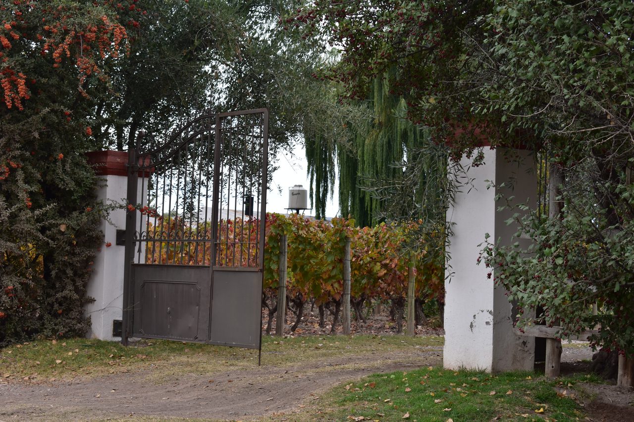 Mendoza
