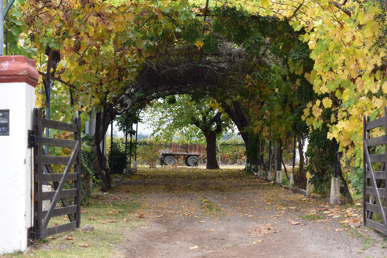 Mendoza