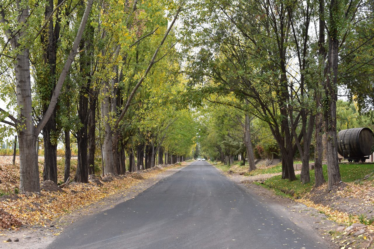 Mendoza