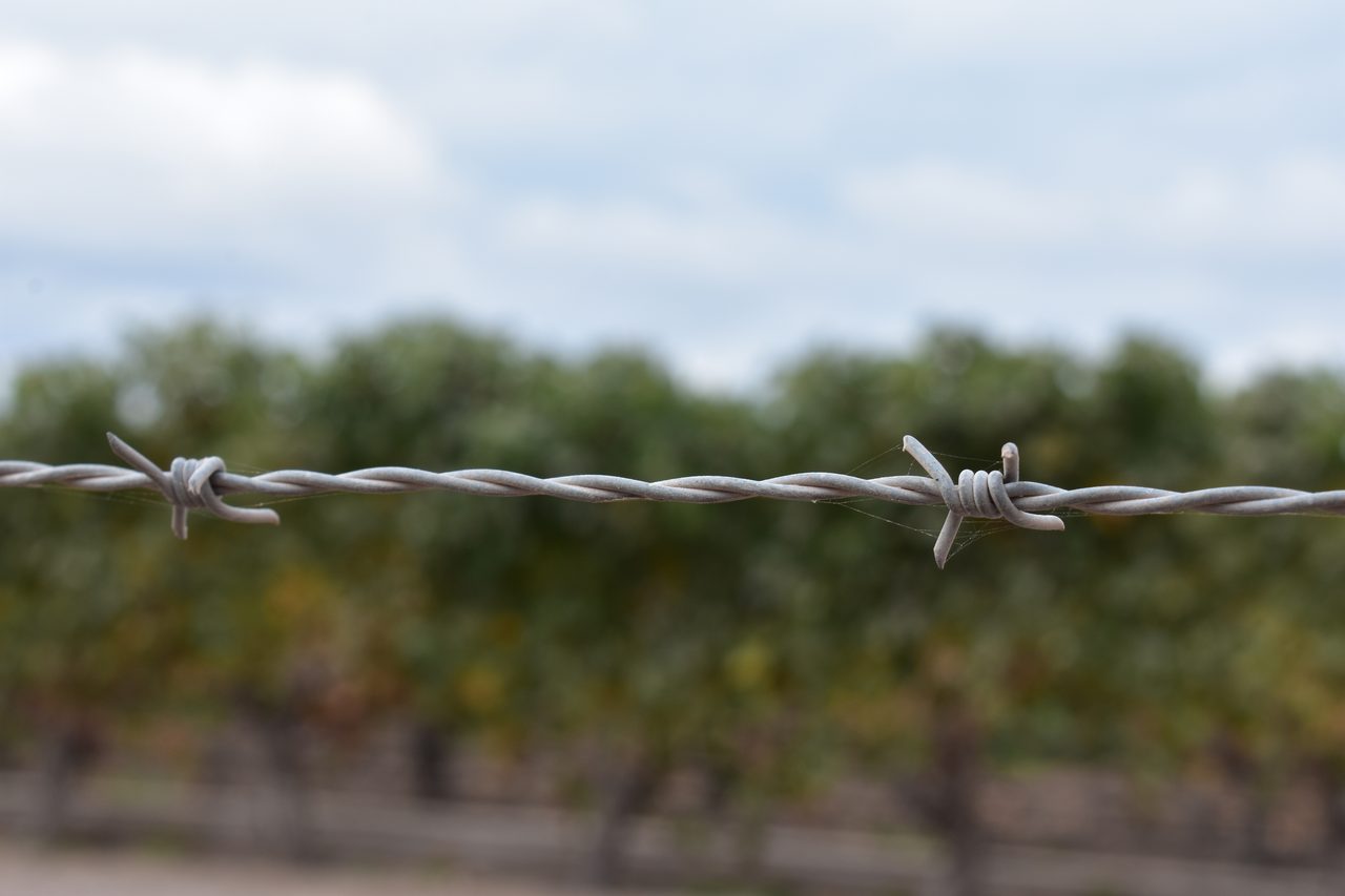 Mendoza