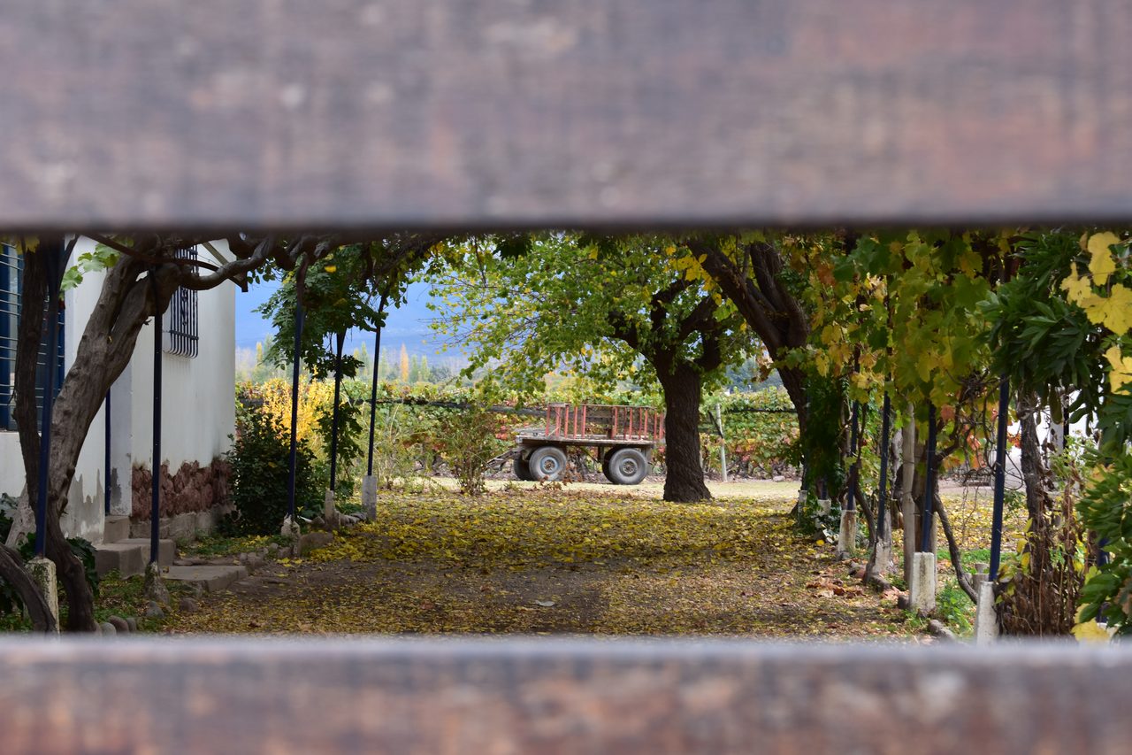 Mendoza
