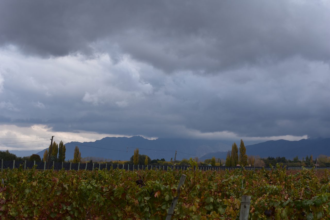 Mendoza