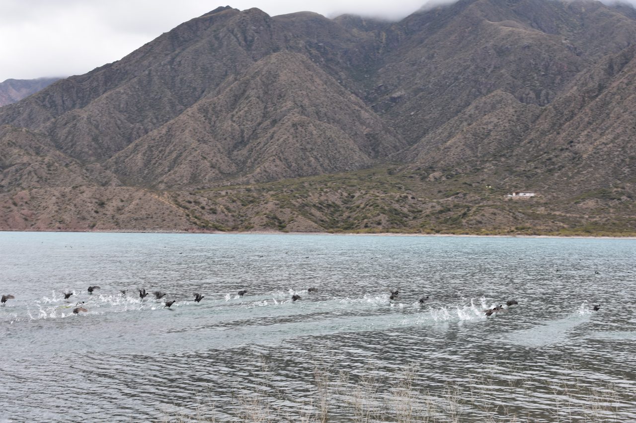 Mendoza