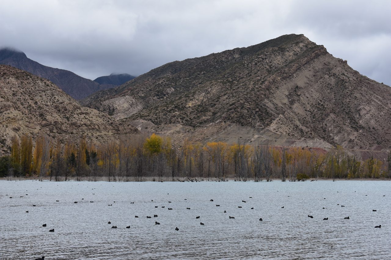 Mendoza