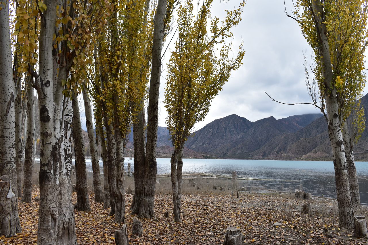 Mendoza