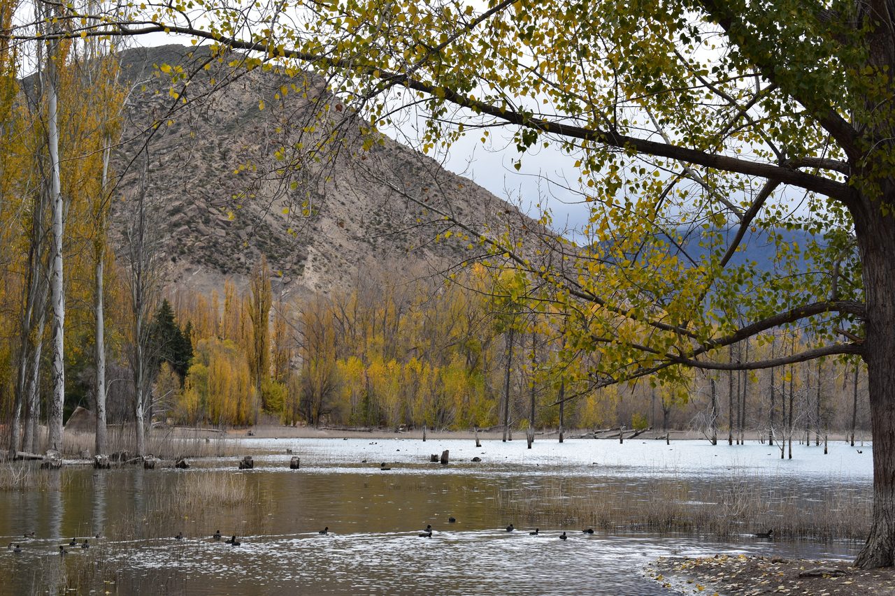 Mendoza