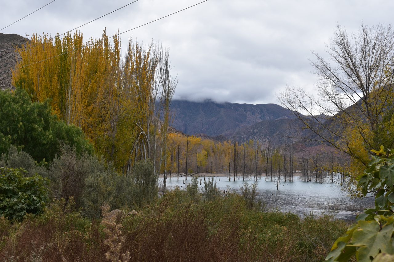 Mendoza
