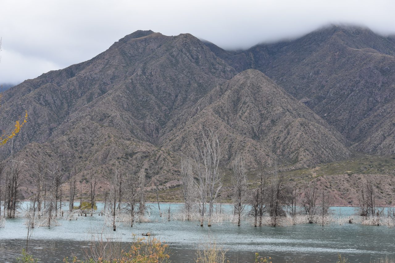 Mendoza