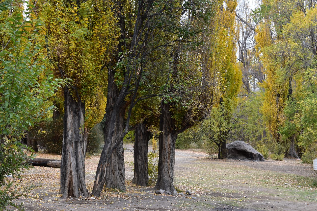Mendoza