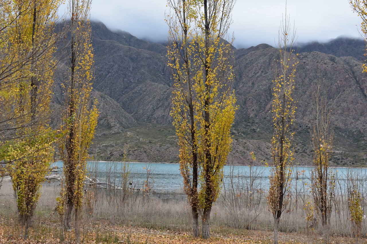 Mendoza