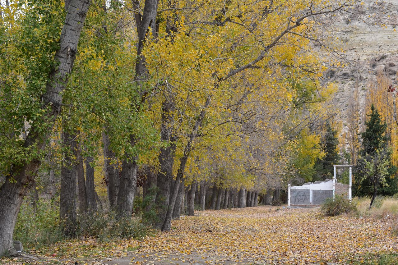 Mendoza