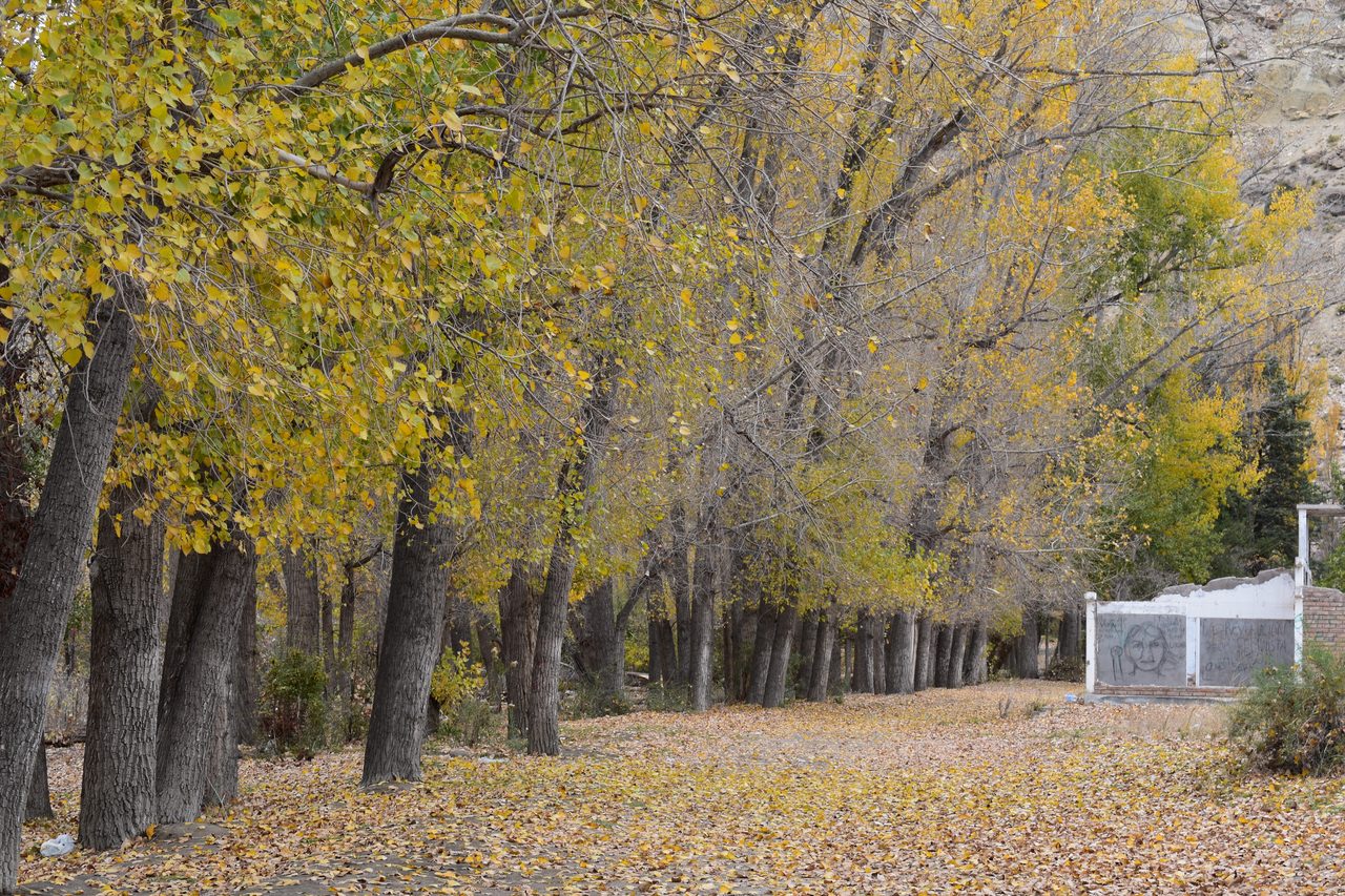 Mendoza