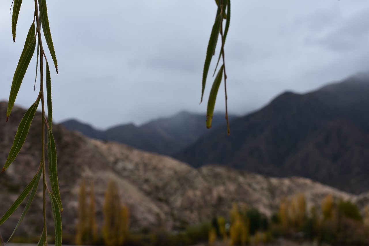 Mendoza