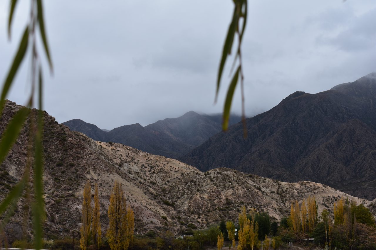 Mendoza