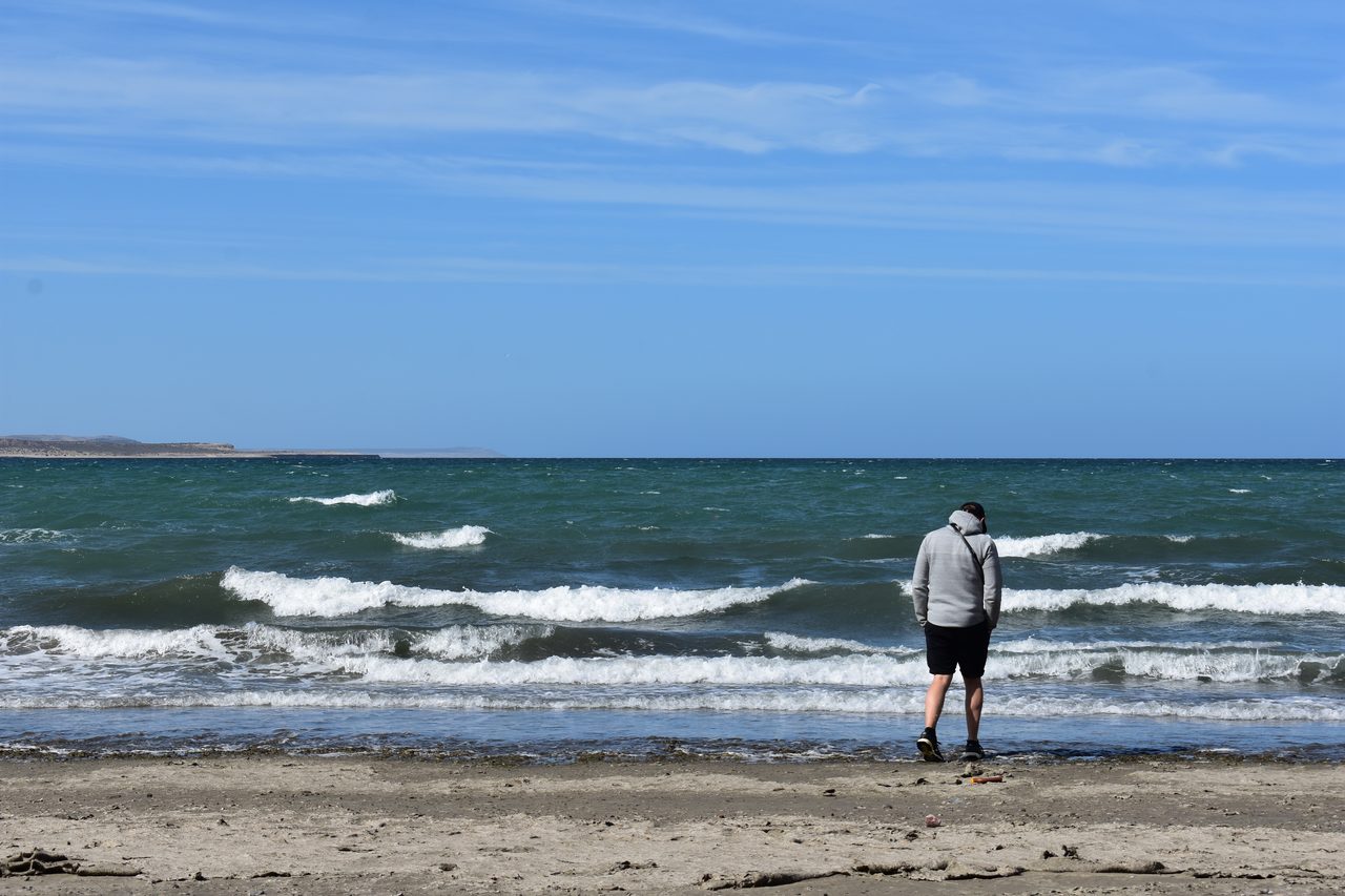 Puerto Madryn, Punta Tombo and Peninsula Valdés