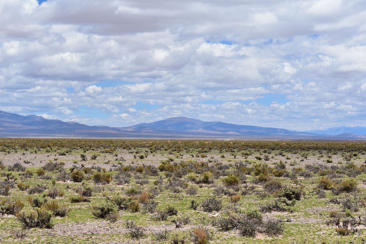 Purmamarca, Tilcara and the Argentine Salt Flats