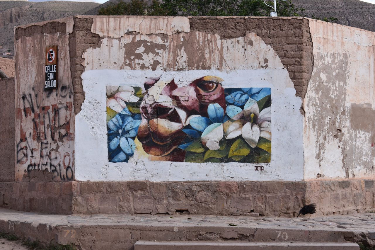 Purmamarca, Tilcara and the Argentine Salt Flats