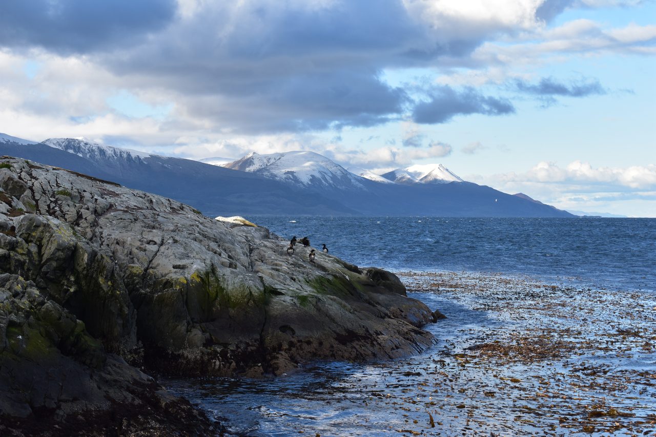 Ushuaia, Beagle Channel Boat Tour, Laguna Esmeralda and Parque Nacional Tierra del Fuego