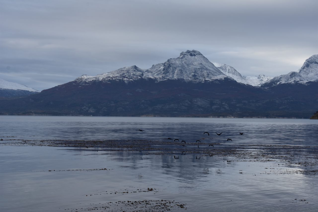 Ushuaia, Beagle Channel Boat Tour, Laguna Esmeralda and Parque Nacional Tierra del Fuego
