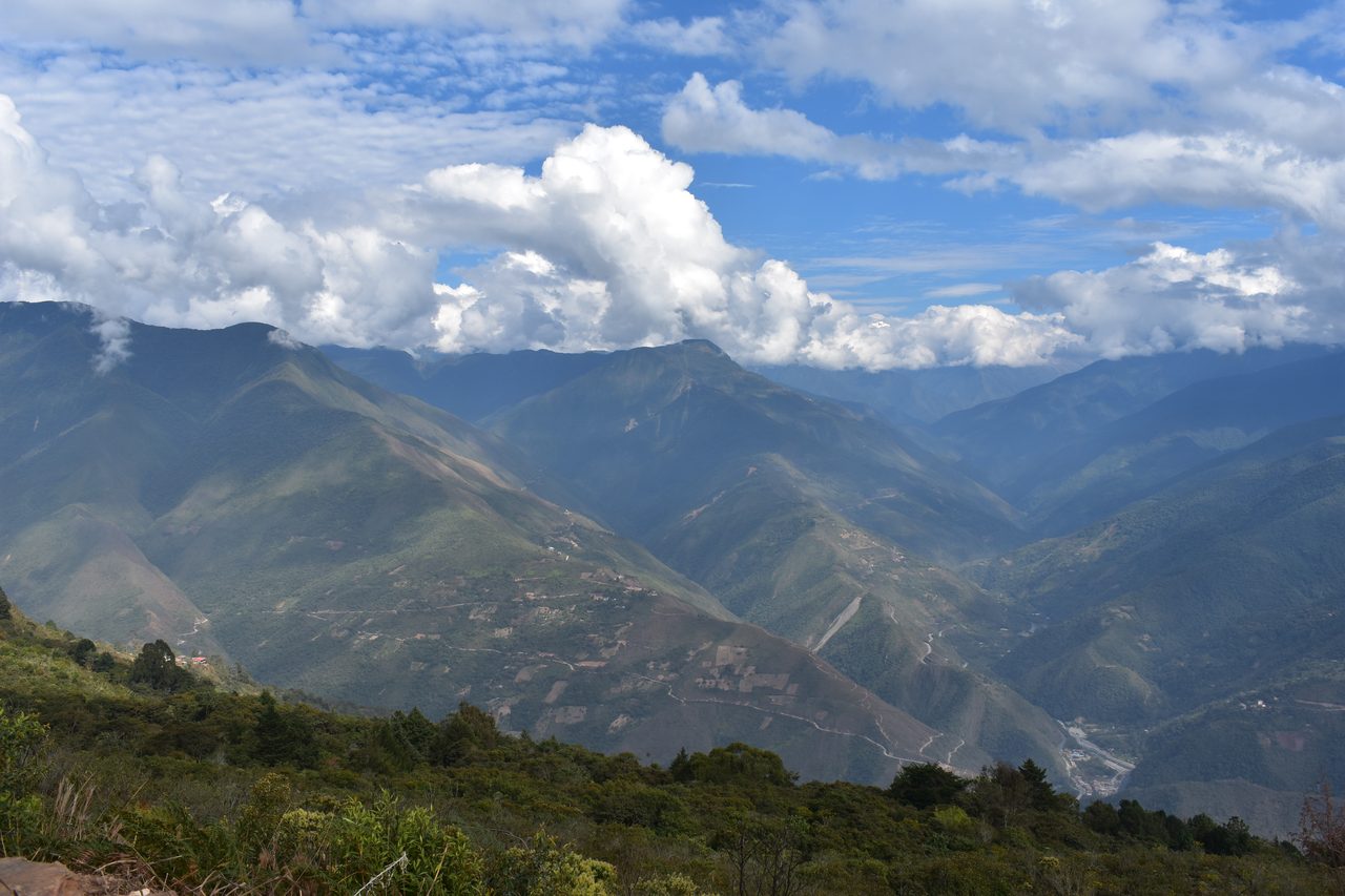 Coroico