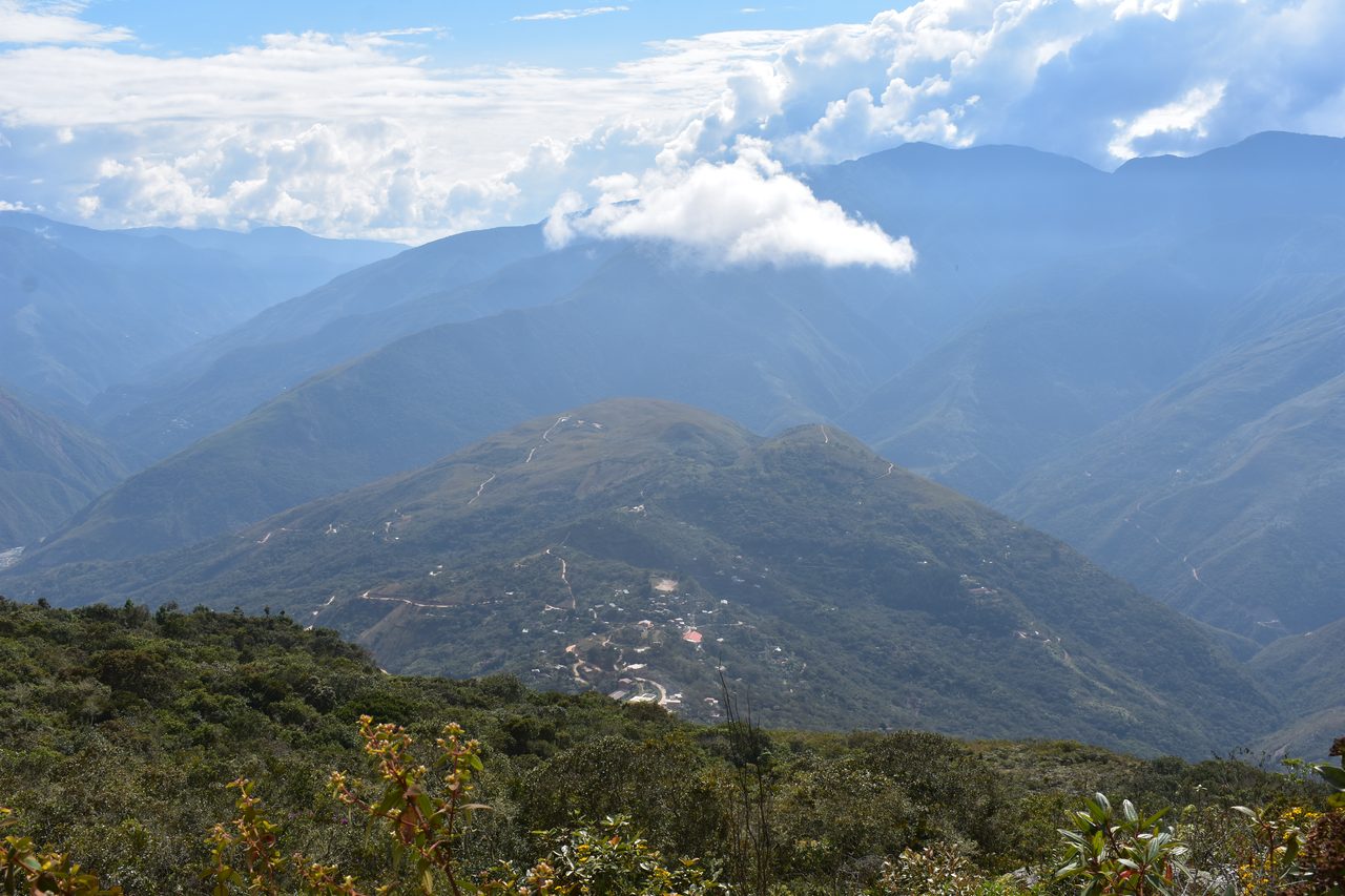 Coroico
