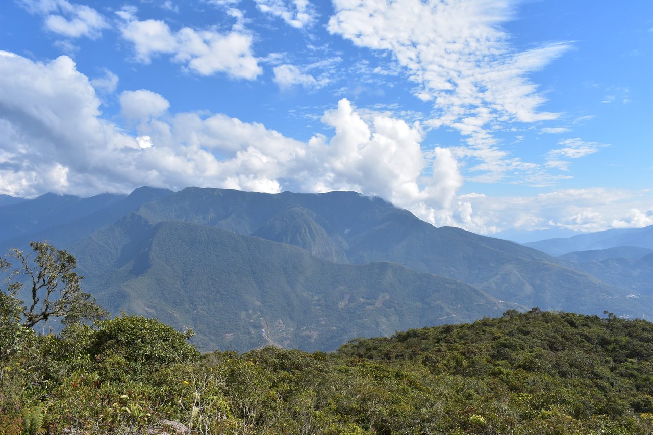 Coroico