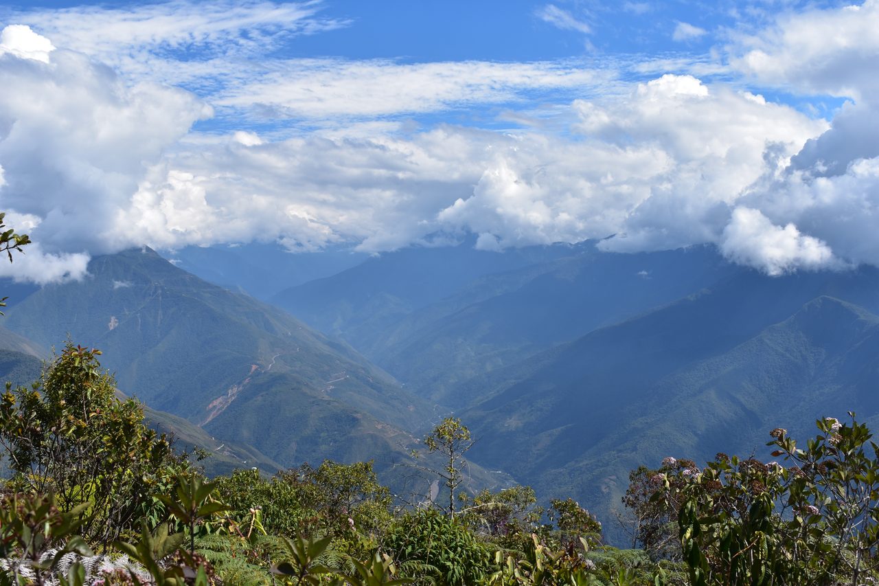 Coroico